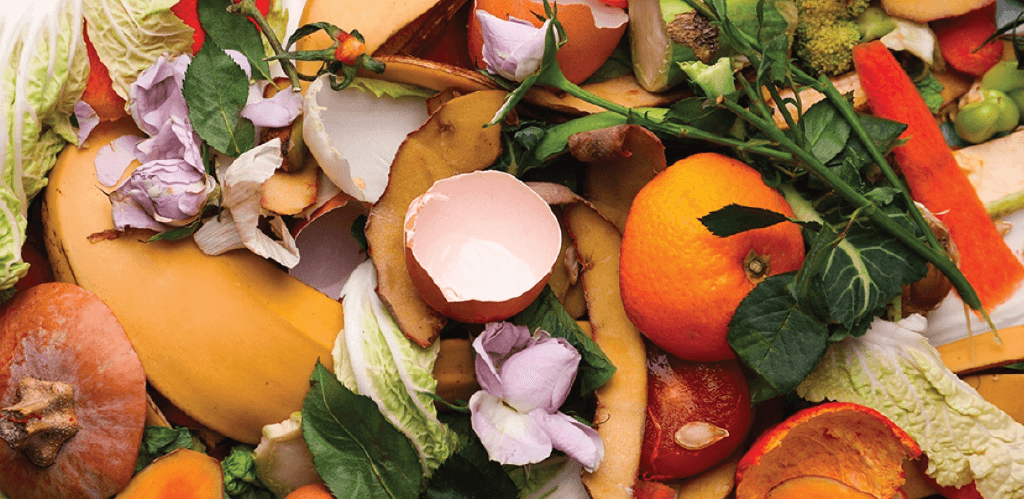 Organic Waste Recycling